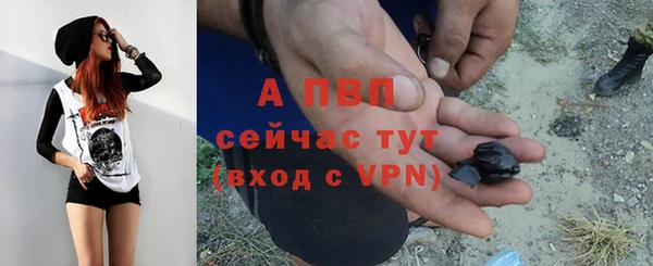 спайс Беломорск