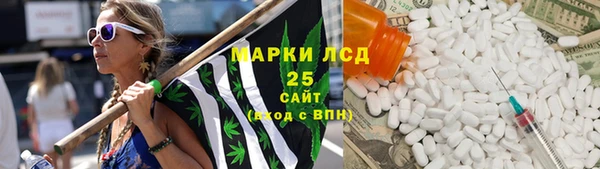 ГАЛЛЮЦИНОГЕННЫЕ ГРИБЫ Балахна